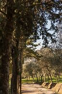 Tenuta La Bandita