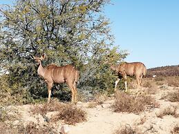 Sanbona Wildlife Reserve