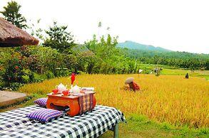 Puri Bagus Manggis
