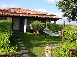 Fattoria Maremmana