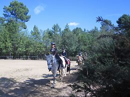 Manoir du Grand Vignoble