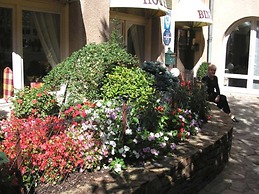 Hotel Biney