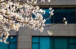 Renaissance Suzhou Hotel