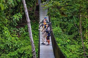 Lost Iguana Resort and Spa