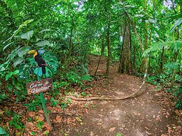 Lost Iguana Resort and Spa