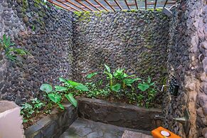 Lost Iguana Resort and Spa