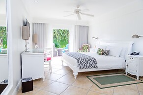 Coco Palm