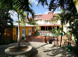 Coco Palm