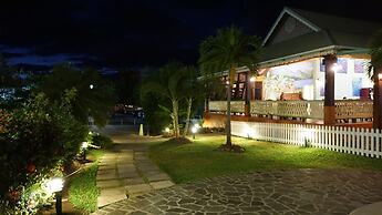 Coco Palm