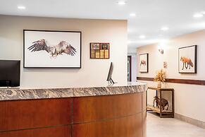 Falcon Crest Lodge by CLIQUE