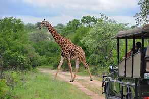 Jock Safari Lodge