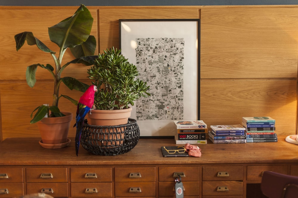 Student hotel & hostel
