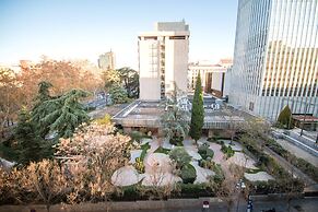 Petit Palace President Castellana