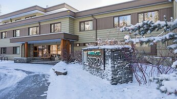 The Juniper Hotel