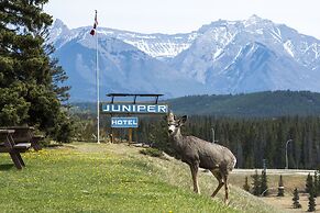 The Juniper Hotel