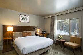The Juniper Hotel