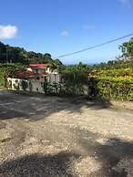 Teresinajamaica