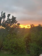 Teresinajamaica