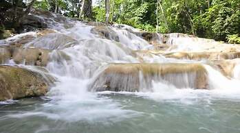 Teresinajamaica