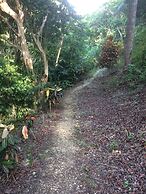 Teresinajamaica