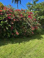 Teresinajamaica
