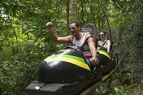 Teresinajamaica