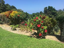 Teresinajamaica