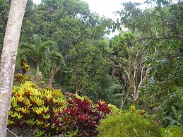 Teresinajamaica