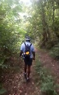 Teresinajamaica