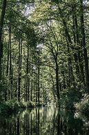 Waldhotel Eiche