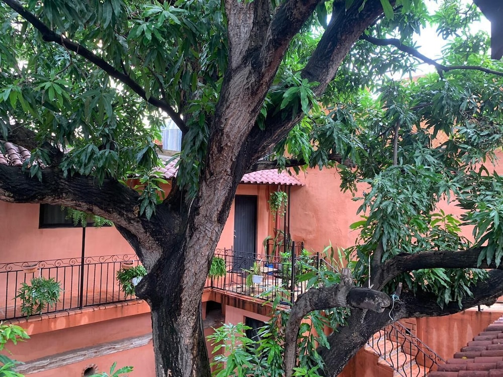 Hotel Doña Elvira