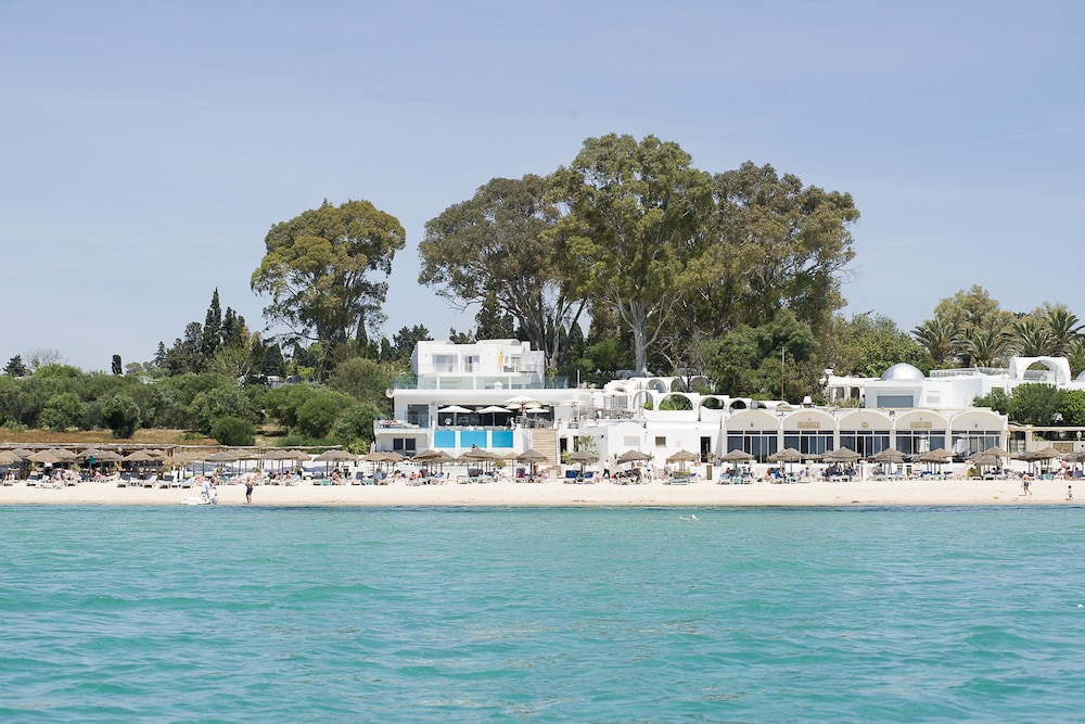 The Sindbad