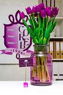 Hotel Corel