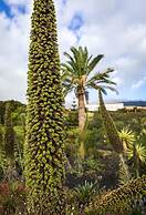 Parador de La Palma