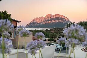 Hotel Ollastu