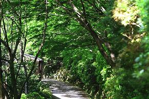 Tsubaki