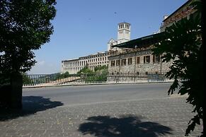 Windsor Savoia