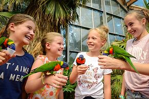 Van Der Valk Avifauna