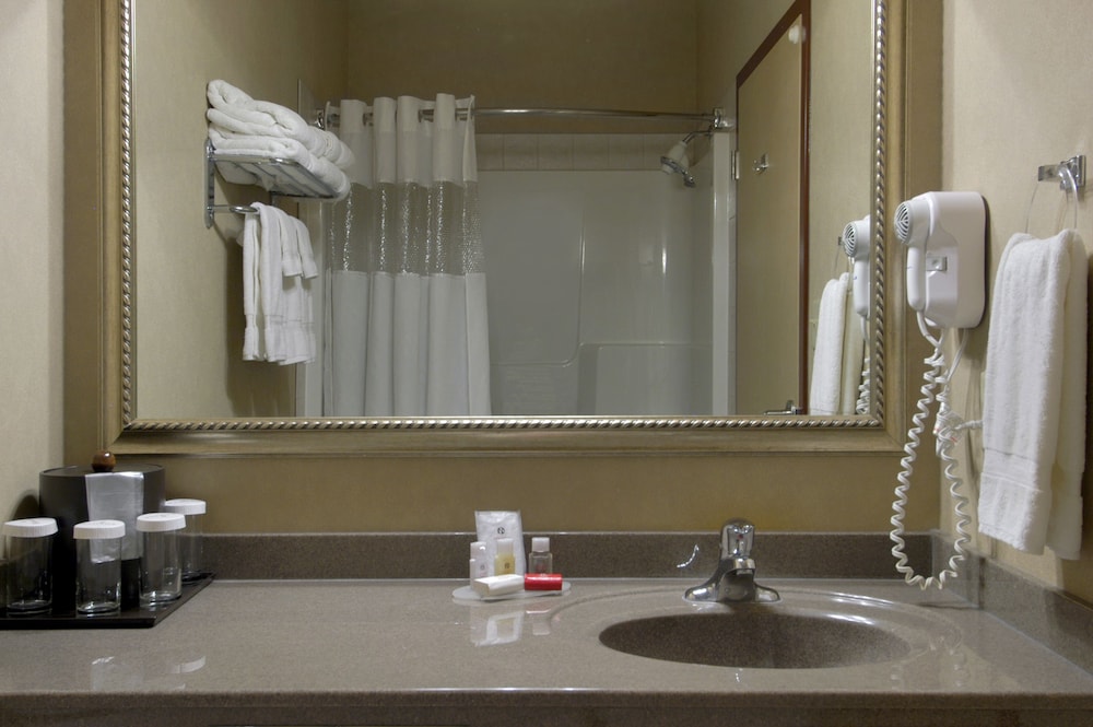 Ramada by Wyndham Drumheller Hotel & Suites