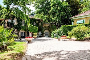 Le Cèdre de Soyons