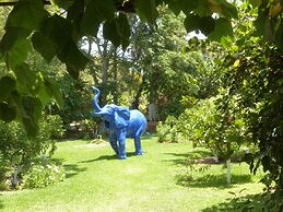 Villa Mandarine