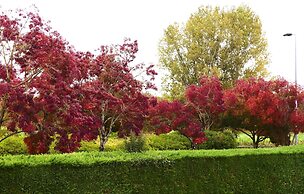 Le Provençal