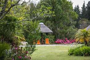 Coral Tree Cottages