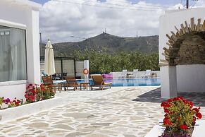Naxos Holidays