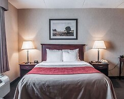 Comfort Inn Mississauga