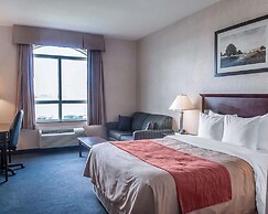 Comfort Inn Mississauga
