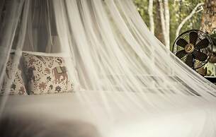 Four Seasons Tented Camp Golden Triangle