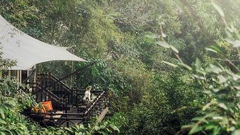 Four Seasons Tented Camp Golden Triangle