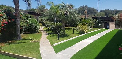 Palm Village