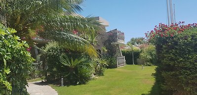 Palm Village